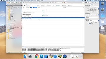Bridging Header Error on Xcode