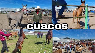 Área de caballos en el puente San Bernabé. // Edomex