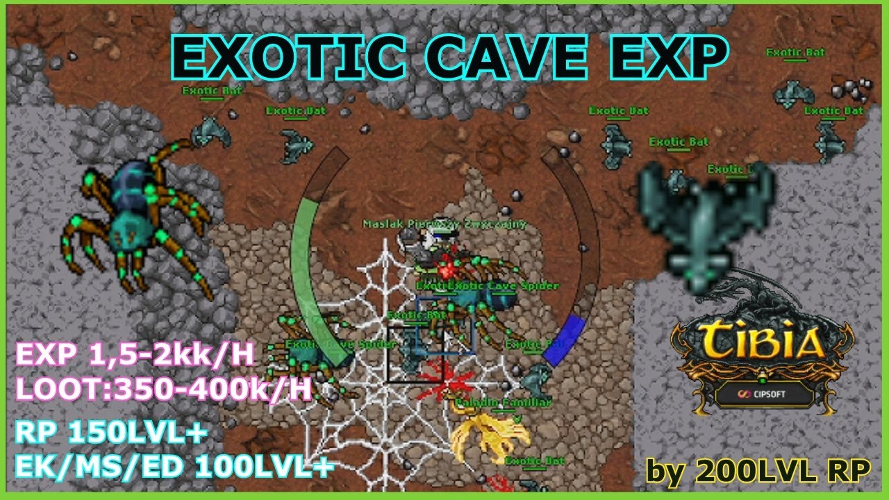 [MS/ED/EK 100LVL+ RP 150LVL+] EXOTIC CAVE (EXOTIC CAVE SPIDER + EXOTIC BAT)  1,5-2kk EXP/H - TIBIA