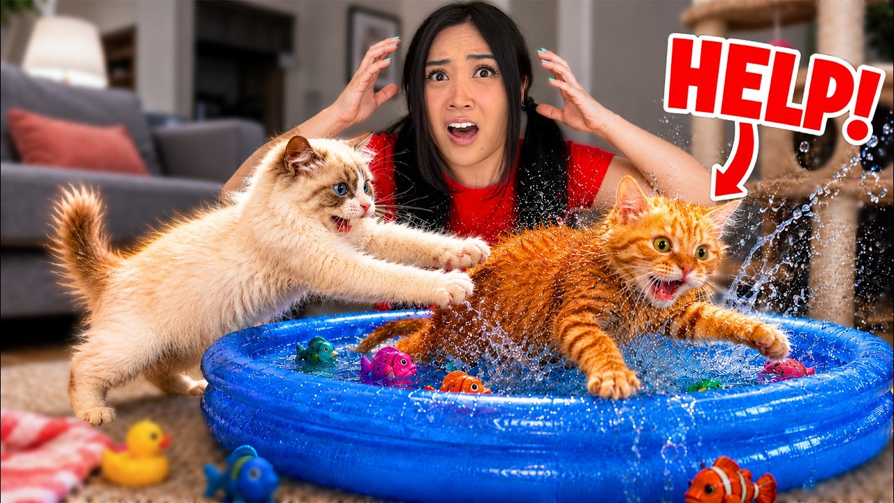 I Tested Weird Banned Cat Gadgets On My Kittens! (It Went WRONG!!)