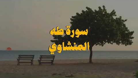 سورة طه كامله بدون صدى صوت | محمد صديق المنشاوي 🫀🎧