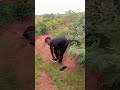 episode 8 #video #comedy #viral #funny