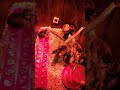 Chick Check Day #7: Black Australorps