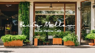 Piano cafe music with a positive vibe (BeiGe Mellow Cafe)