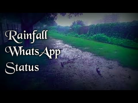 Nature Scene | Beautiful Rainfall Status | Raindrops Status Video | Nature WhatsApp Status Song 2020