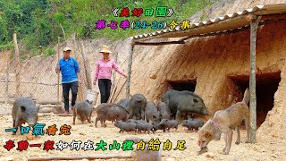 一口氣看完，辛勤一家如何在大山裡自給自足《美好田園》第七季（24-26）合集