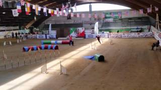 Quasi - 2015 IFCS Ind. Jumpers