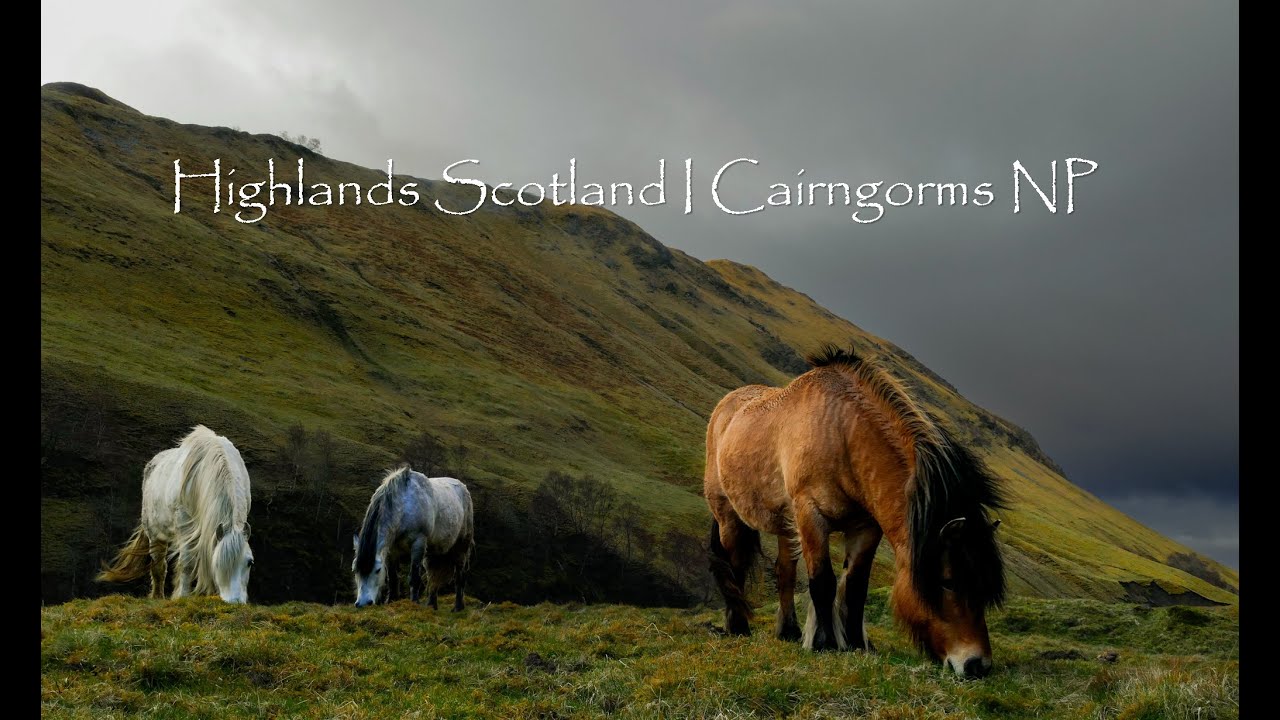 Hiking Scottish Highlands Cairngorms NP