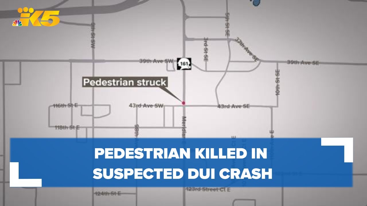 Pedestrian killed in suspected DUI crash - YouTube