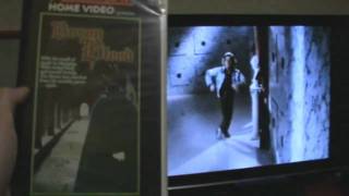 DonaldTaft sends Aussie a little Trash...
Please check out and subscribe to Pauls channel..
http://www.youtube.com/DonaldTaft
He kindly sent me some old Roadshows and one Palace Academy title from Trash Video. I know, this should have been up weeks ago!!
Obituary...
RIP Trash :( (29 August 2010, Brisbane, Australia)
Thanks for keeping us sick fucks entertained for the past 15-years. You will be forgotten, maybe. DonaldTaft sends Aussie a little Trash...