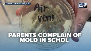 ‘They Have to Close Down’: Parents Demand Action Over Mold Concerns at Charter School