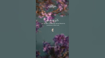 "ليلة القدر خير من ألف شهر" #سورة_كاملة | القارئ هيثم الدخين