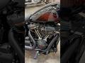 RIDE or ROT! Ep. 88 Red Letters #lowriderst #lowrider #harleydavidson #harley #cruiser #foryou #fyp