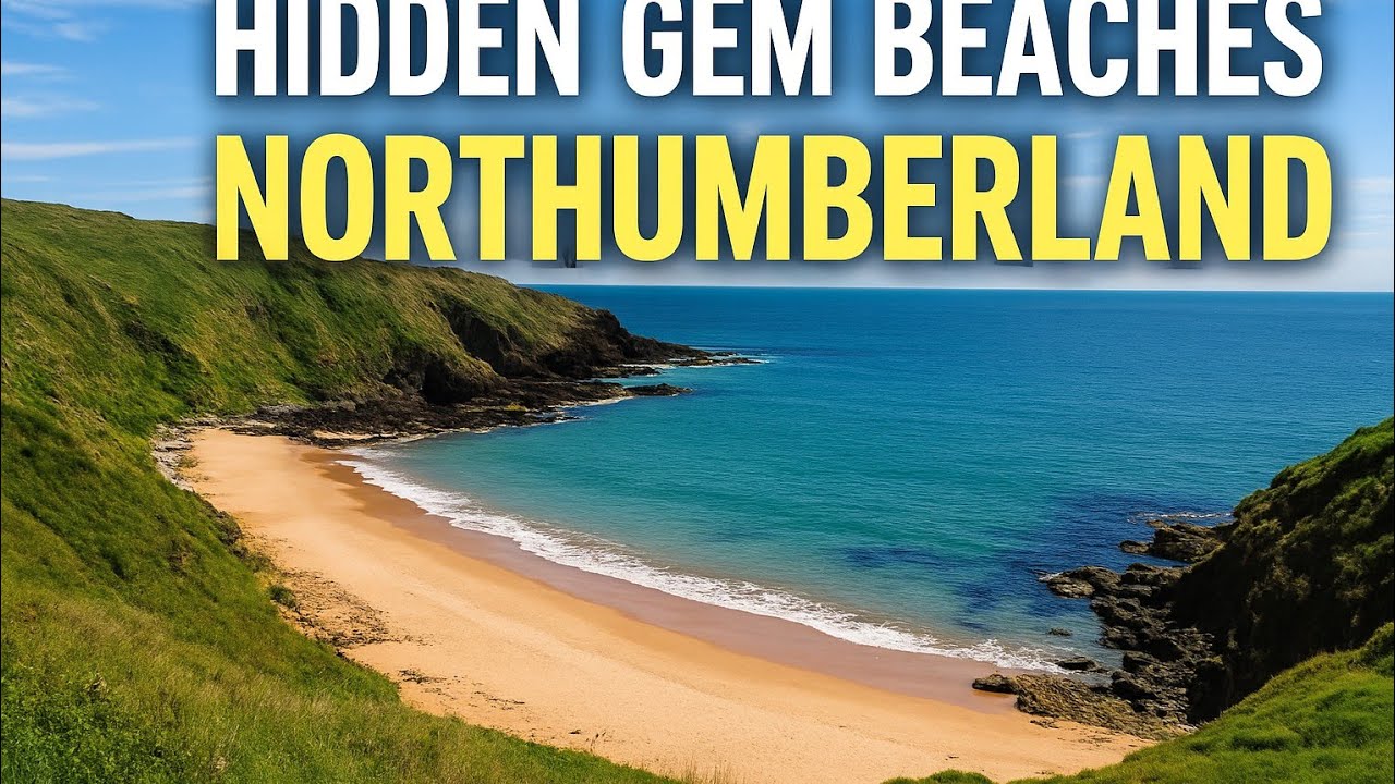 Hidden Gems of Northumberland – Dog Friendly Beaches In Northumberland We Love Our Adventures!