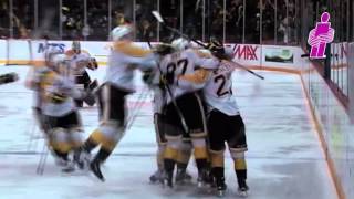 IBAM WHL Insurance Goals - April 28, 2016