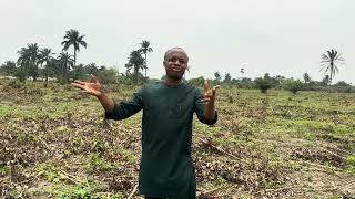 Farm Land For Sale in Ogun State Clost To Epe Toll Gate & With Payment Plan