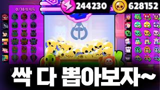 현질 안하고  블링 버피까지 싹 다 뽑아보겠습니다 ㅋㅋㅋㅋ