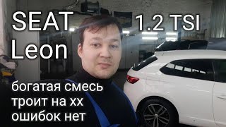 Seat Leon - богатая смесь, пропуски воспламенения, ошибок нет.