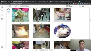 Keras Tutorial Cats and Dogs