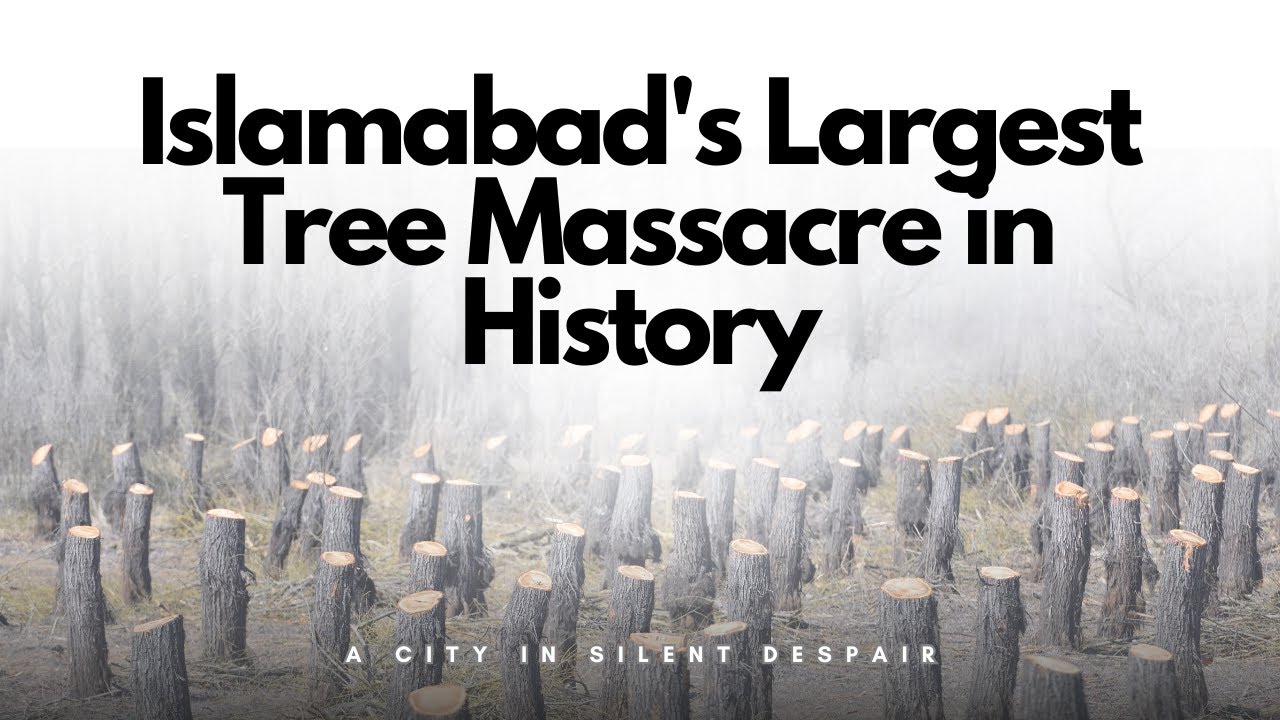 The Silent Collapse of Islamabad's Green Lungs | A Story of Destruction and Survival