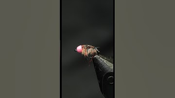 What is your favorite color of bead to put on a sowbug?