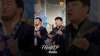 Төңкер тобы