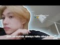 Fake subs  you are that one stay straykids always talks about