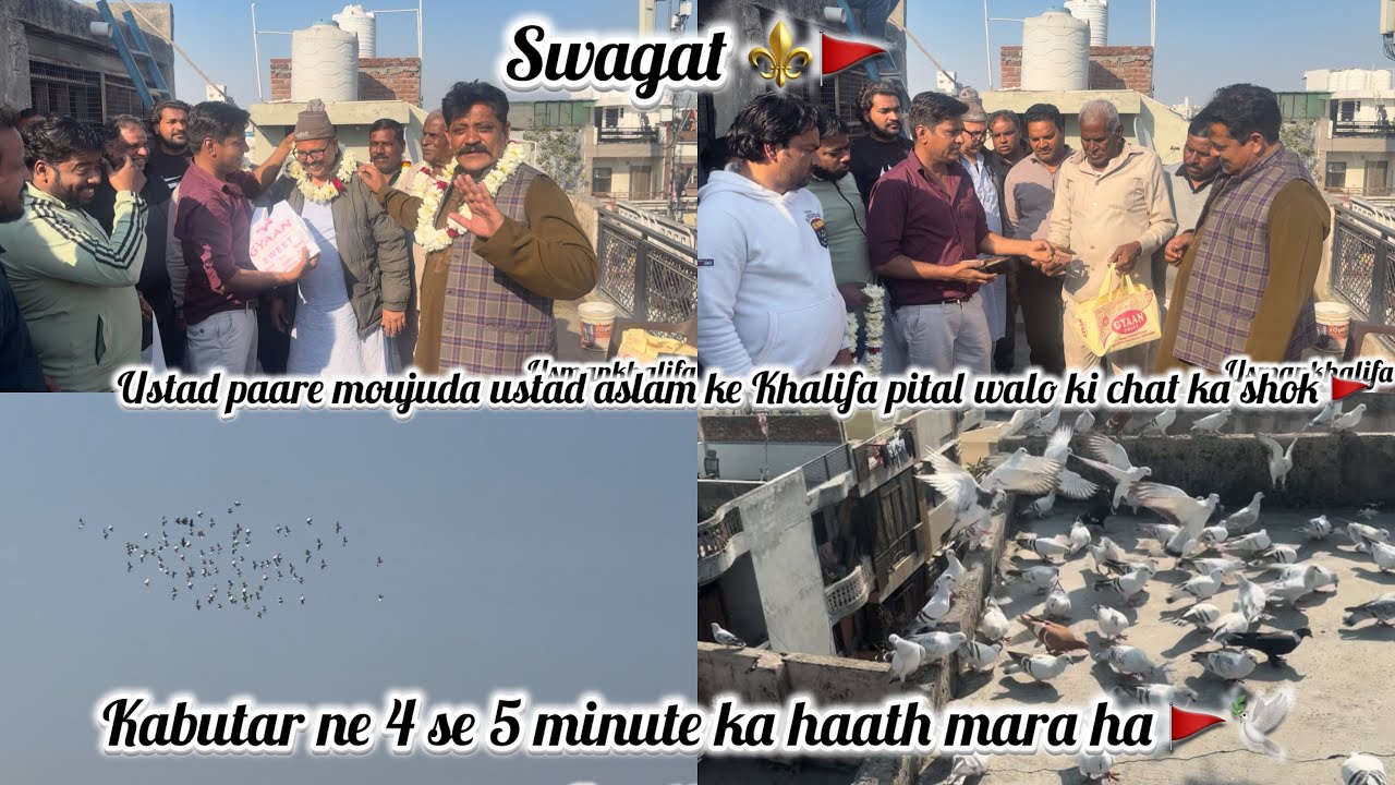 Ustad paare moujuda ustad aslam ke Khalifa pital walo ka shok 🚩kabutar ne 4se5 mint tak ka hath mara