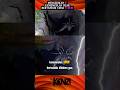 Sungguh Men4kutk4n‼️ Penampakan Ular Danyang Bertanduk Emas‼️😱👹#shorts  #short #trending