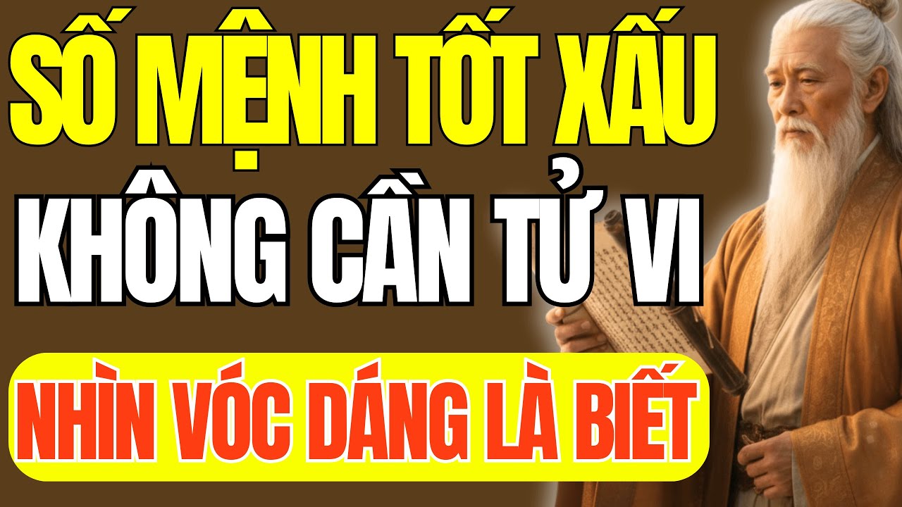 Cổ Nhân Dạy: Nhìn Vóc Dáng Biết Ngay Số Mệnh Tốt Xấu, Không Cần Xem Tử Vi | Triết Lý Cuộc Sống