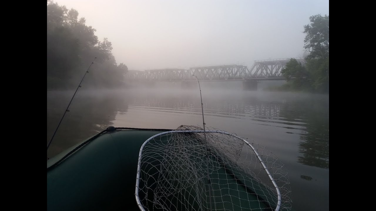Щука ранним утром. Уничтожаем браконьерские сети. Псел.
