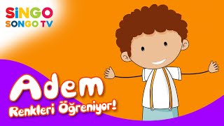 ADEM Renkleri Öğreniyor 🟠🟢🟣 – SingoSongo TV I İsme Özel Çocuk Şarkıları 🎵