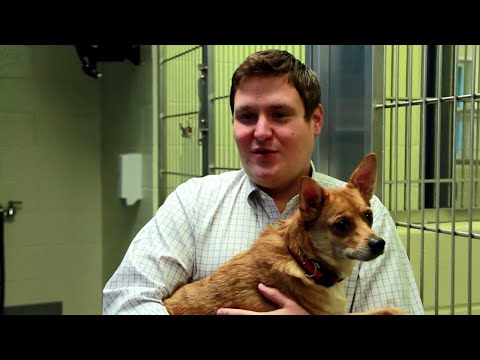 23 Puppies Saved From Euthanasia - Inside a No-Kill Animal Shelter Rescue