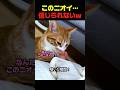 赤ちゃんの足を嗅いだ猫のまさかの結末ｗ #猫 #猫動画 #赤ちゃんと猫 #猫の反応 #猫のいる暮らし
