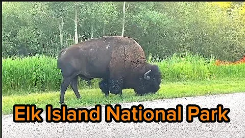 ELK ISLAND NATIONAL PARK EDMONTON ALBERTA CANADA| Maureen TV