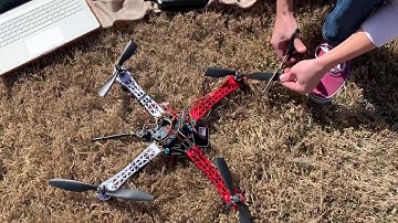 Model-Free Acrobatic Control of Quadrotor UAVs