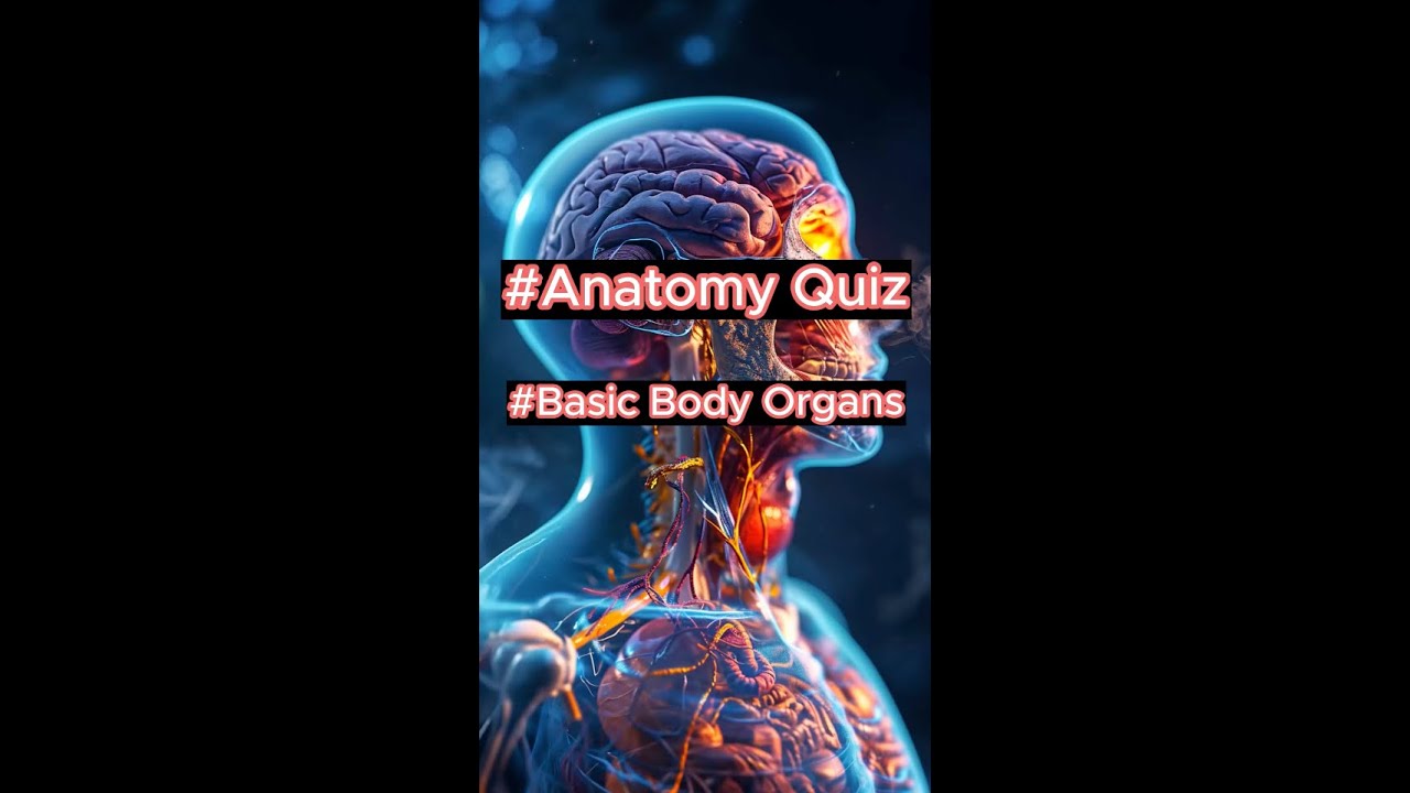 Anatomy Quiz Basic Body Organs - YouTube