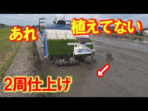 イセキ 5条植え 田植機 ★PQ5 動作未確認 イセキ5条植え田植え機で外周2周仕上げするための方法 - YouTube