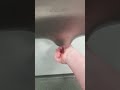 Windsor Hand Dryer At Royal Victoria Hospital In Belfast