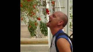 Walt Disney World Slide Show