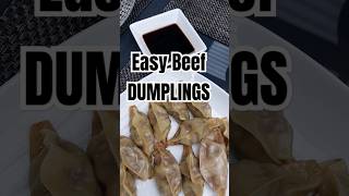 Easy Beef Dumplings food dumplings recipe cooking