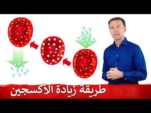 فيديو: فقر الدم الناجم عن خلايا الدم الحمراء المشوهة في القطط