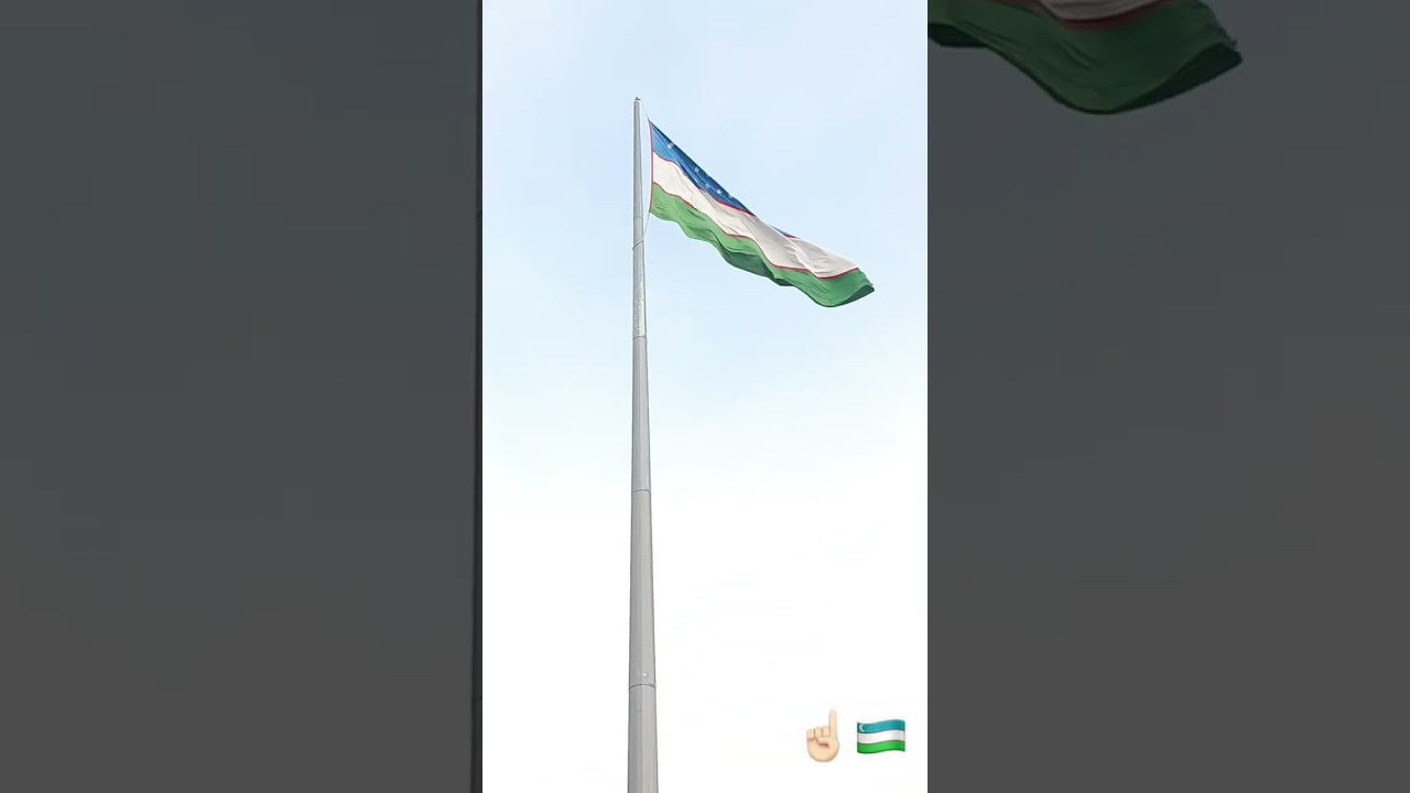 UFC SAMBO UZ nomer 1 gildiya 😱