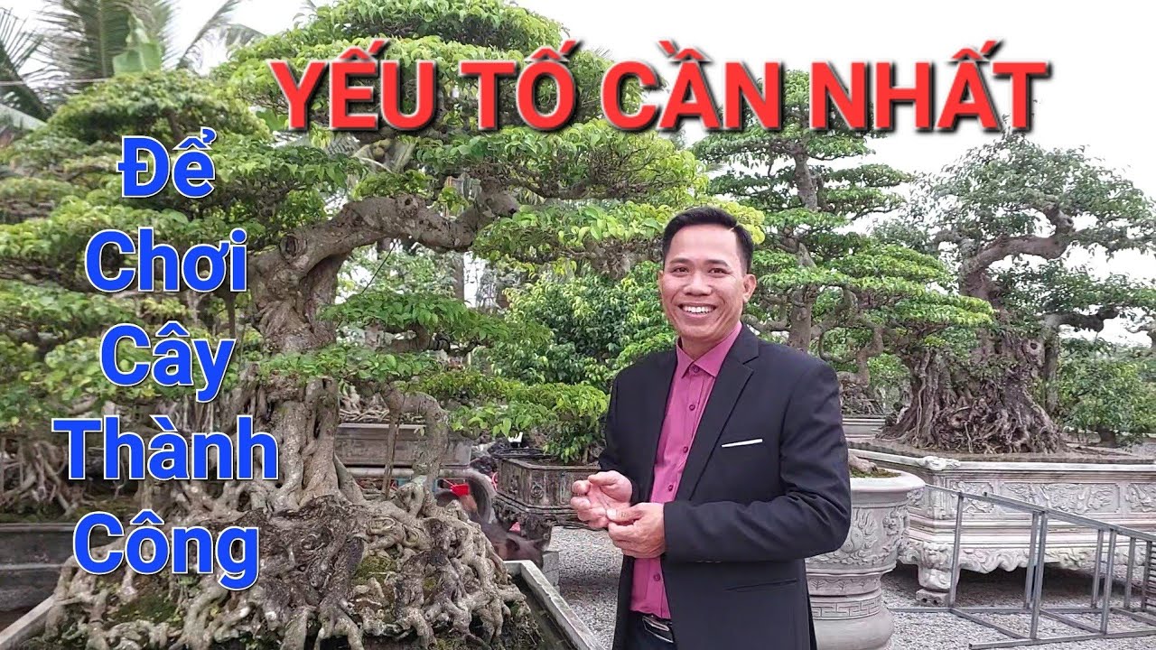 Qua CS của anh THÙY Hải Phòng , quý vị biết mình cần gì , thiếu gì để chơi cc được thành công .