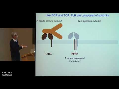 Auto-immunité, auto-inflammation, quand le système immunitaire... (10) - Alain Fischer (2015-2016)