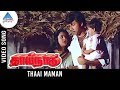 Thaai Naadu Tamil Movie Songs | Thaai Maman Video Song | Sathyaraj | Radhika | Pyramid Glitz Music