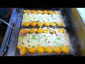 大阪のたこ焼き (あべのたこやき やまちゃん) Takoyaki Osaka Japan 大阪美食 Takoyaki Lezat स्वादिष्ट ताकोयाकी