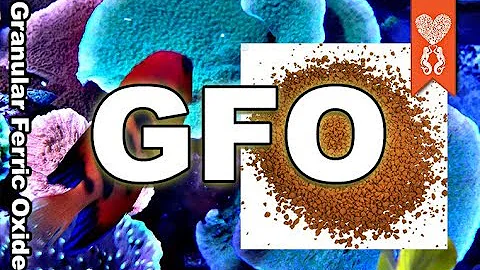 Should You Use GFO? granular ferric oxide Coralust Reefing Product Thursday