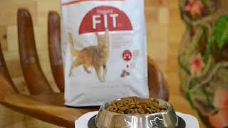 Royal Canin Fit 32 для домашних котов 1кг на вес 2 Royal Canin Fit 32 для домашних котов 1кг на вес 2