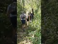 കാട്ടിലൂടെ 15km🐘🐅🐨#wildlife#wild#viral#kerala#jungle#idukki#periyar#bear#elephant#shots#shorts_